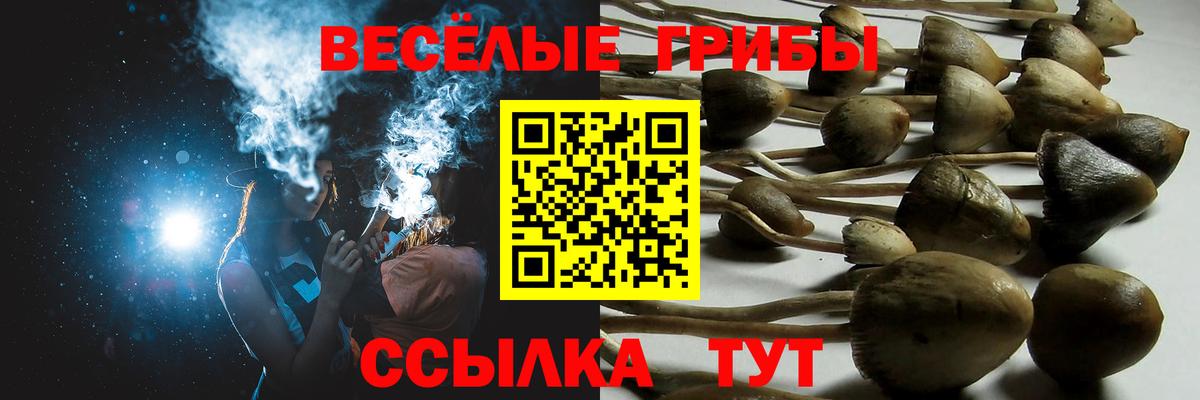 Псилоцибиновые грибы Magic Shrooms Алатырь